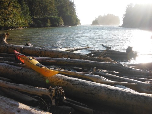 Kayak on the driftwood.