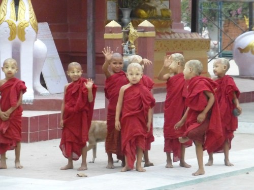 Mini monks